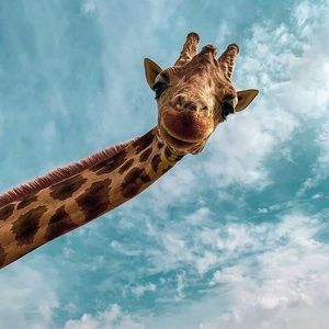 Meet your Posher, Kerry